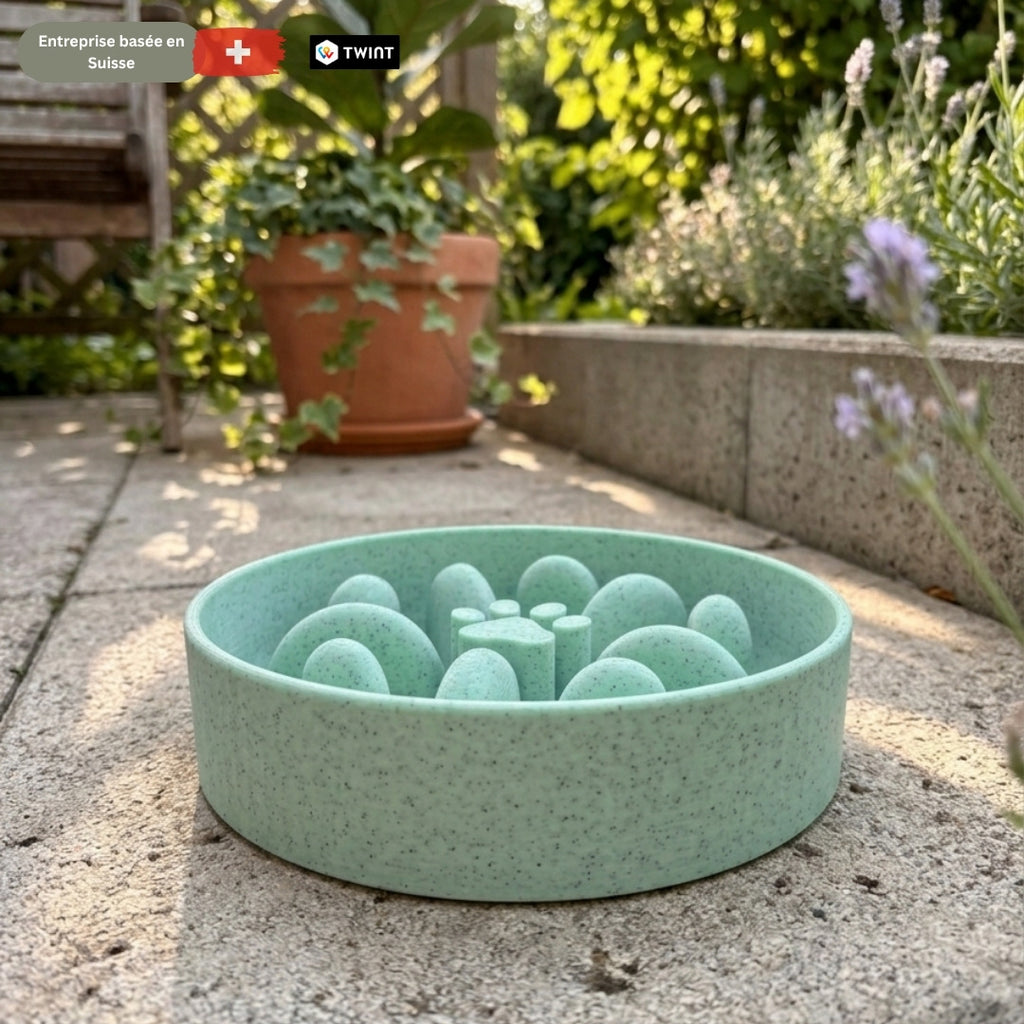 Gamelle Anti-Glouton