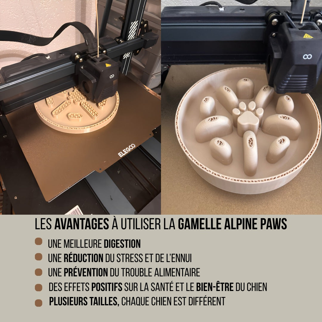 Gamelle Anti-Glouton